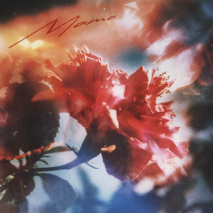 亚洲美女屁股眼交14
